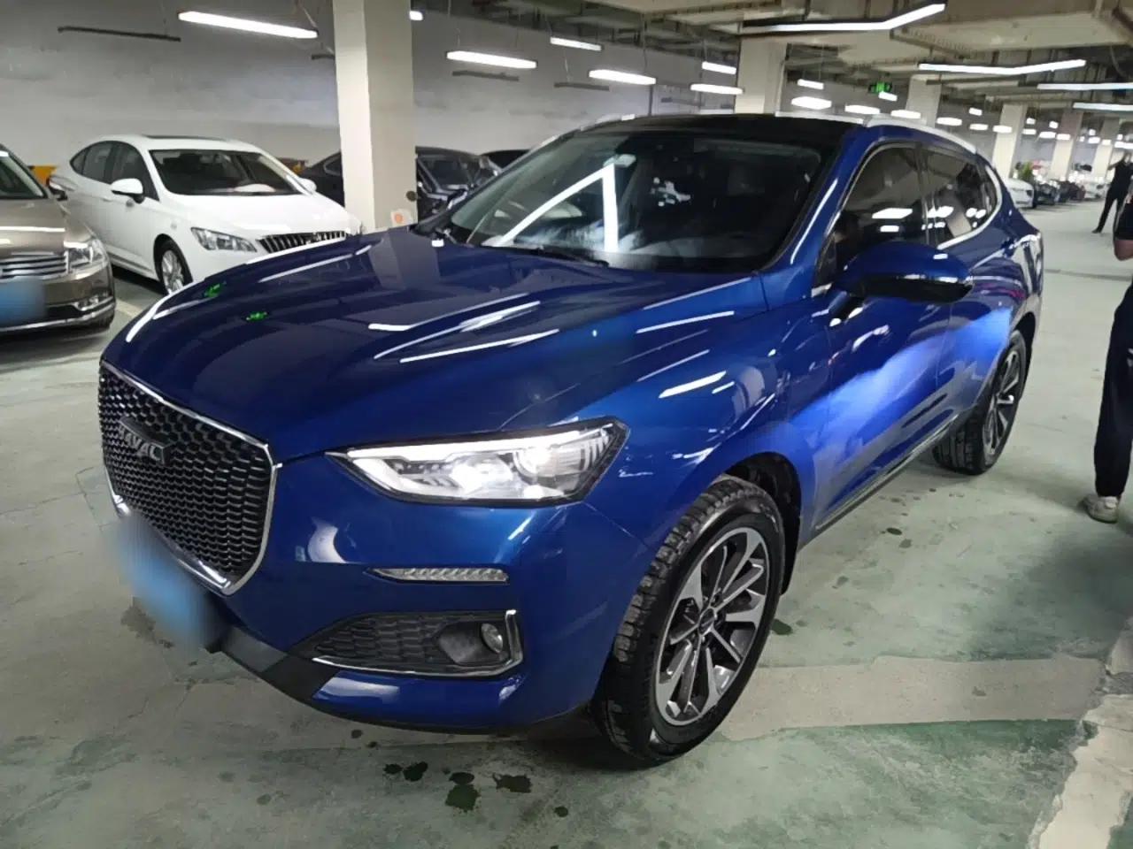 Used Haval F5 2019 National Trend Edition 1.5T i-Trend China VI Standard — миниатюра 1