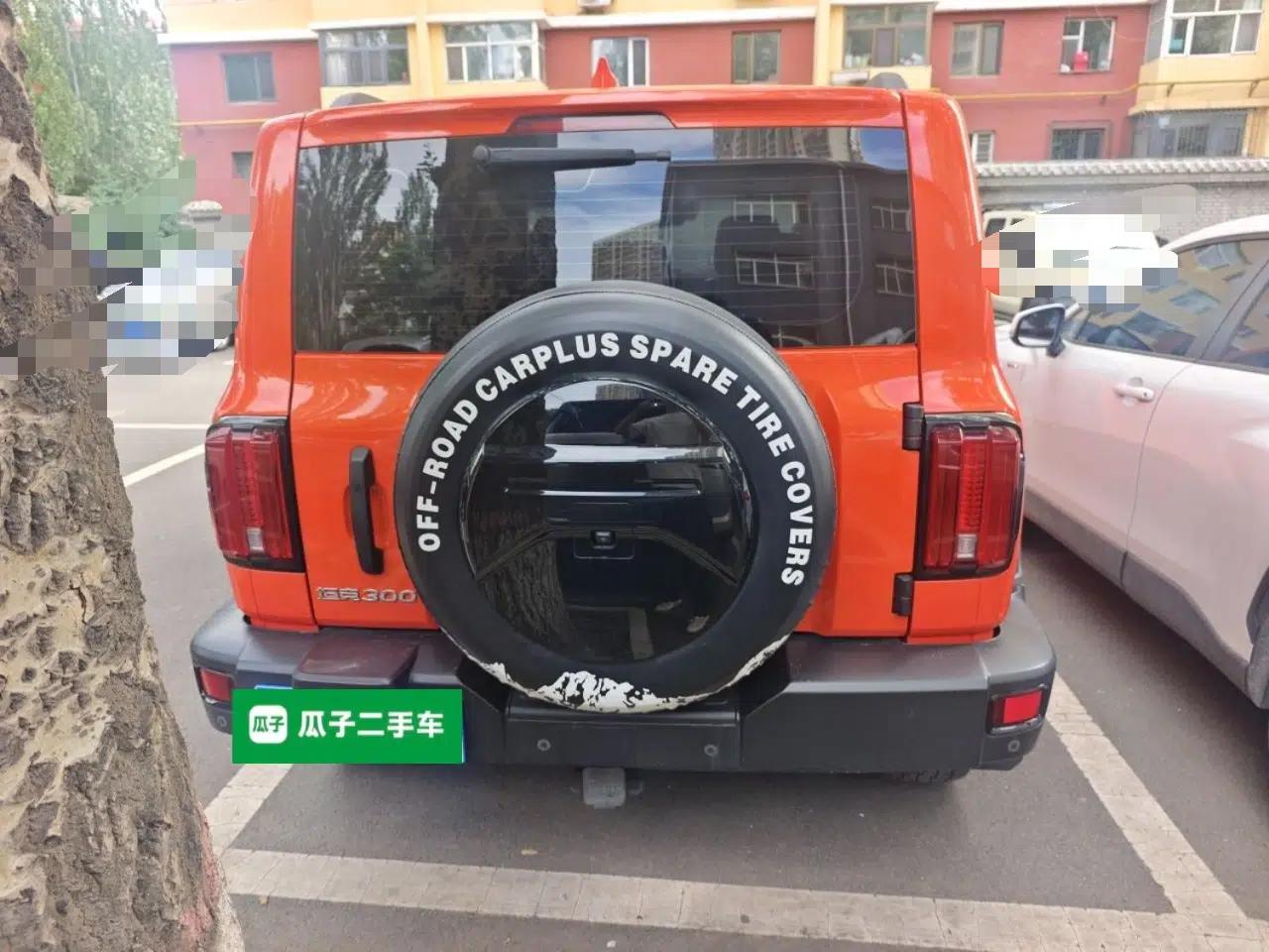 Used Tank 300 2021 Off-Road Edition 2.0T Conqueror — миниатюра 5