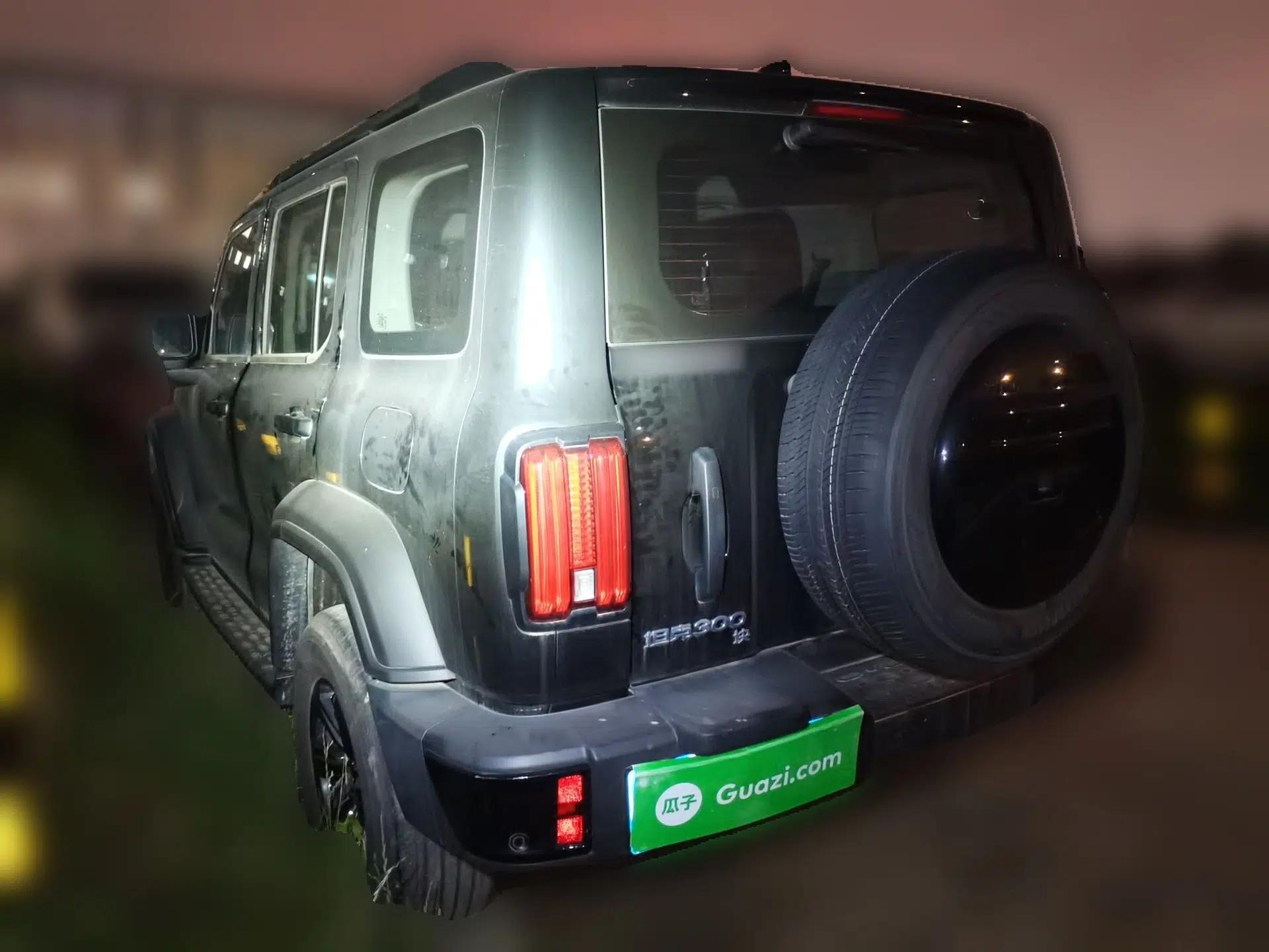 Used Tank 300 2024 2.0T Conqueror — миниатюра 4