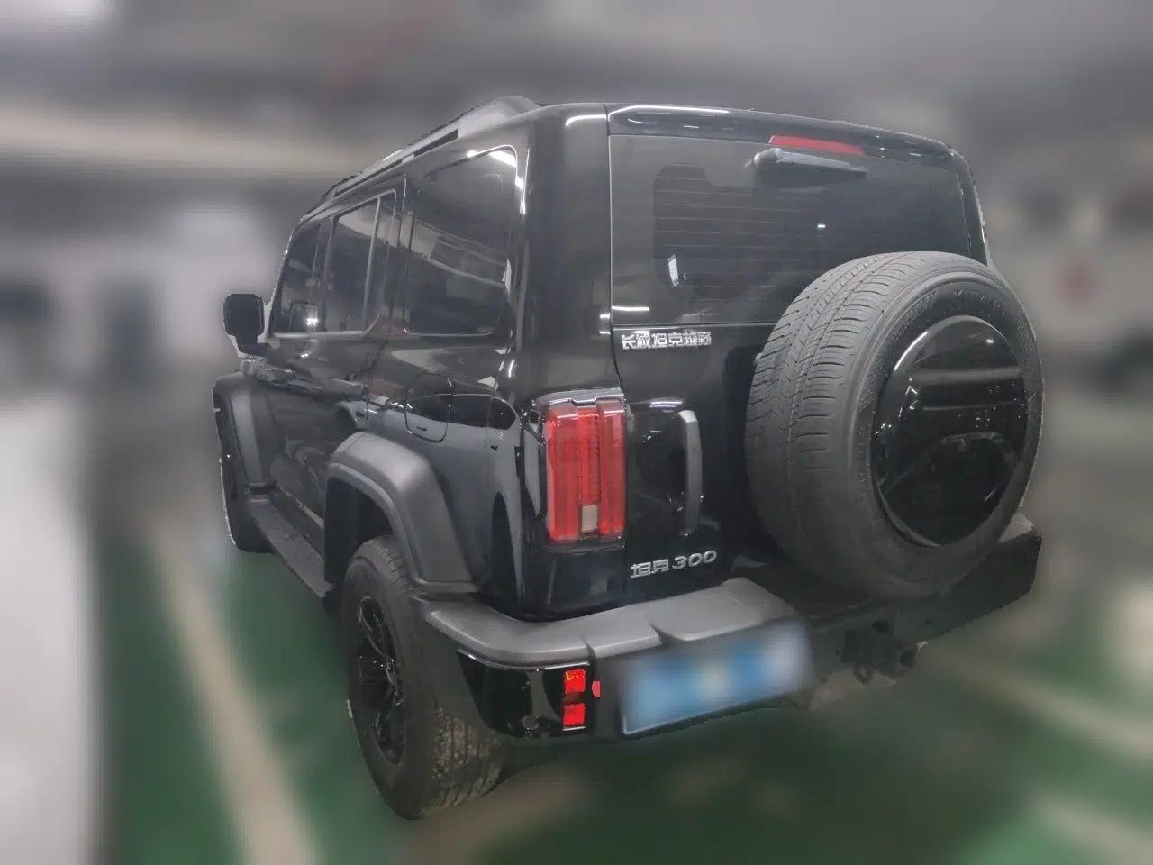 Used Tank 300 2024 2.0T Conqueror — миниатюра 4