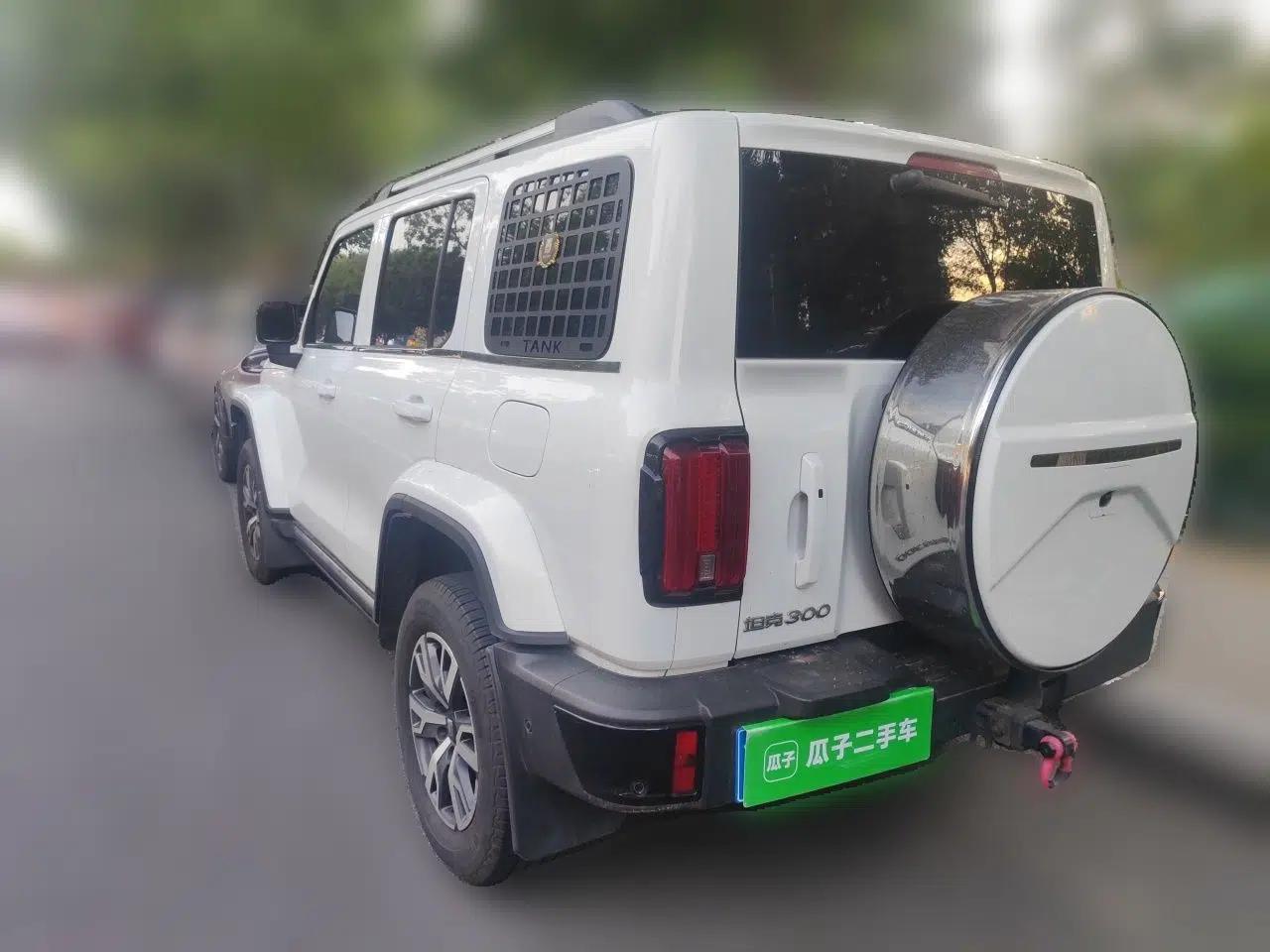 Used Tank 300 2024 2.0T Crosser — миниатюра 4