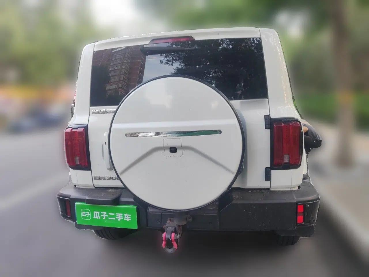 Used Tank 300 2024 2.0T Crosser — миниатюра 5