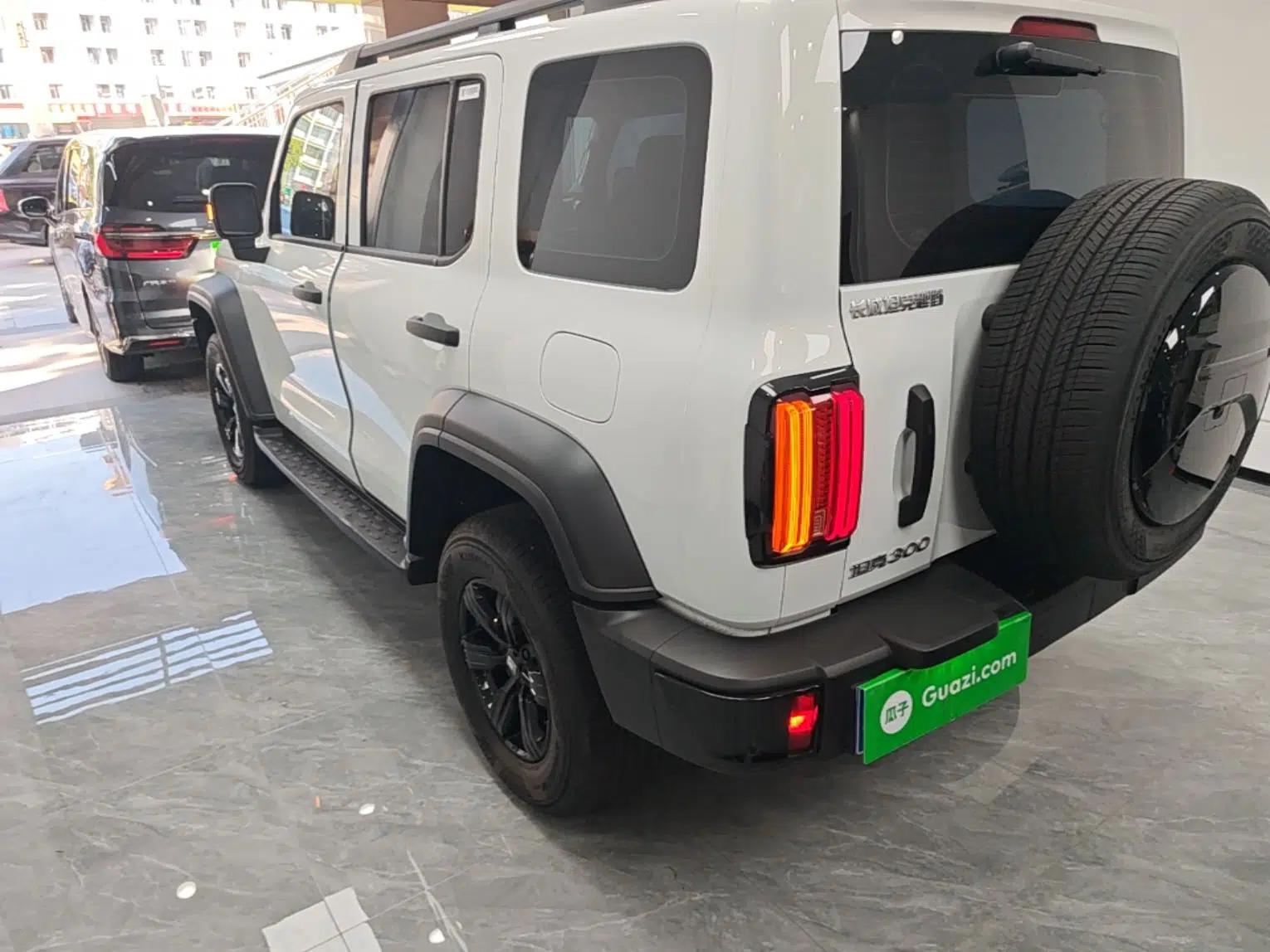 Used Tank 300 2024 2.0T Conqueror — миниатюра 4