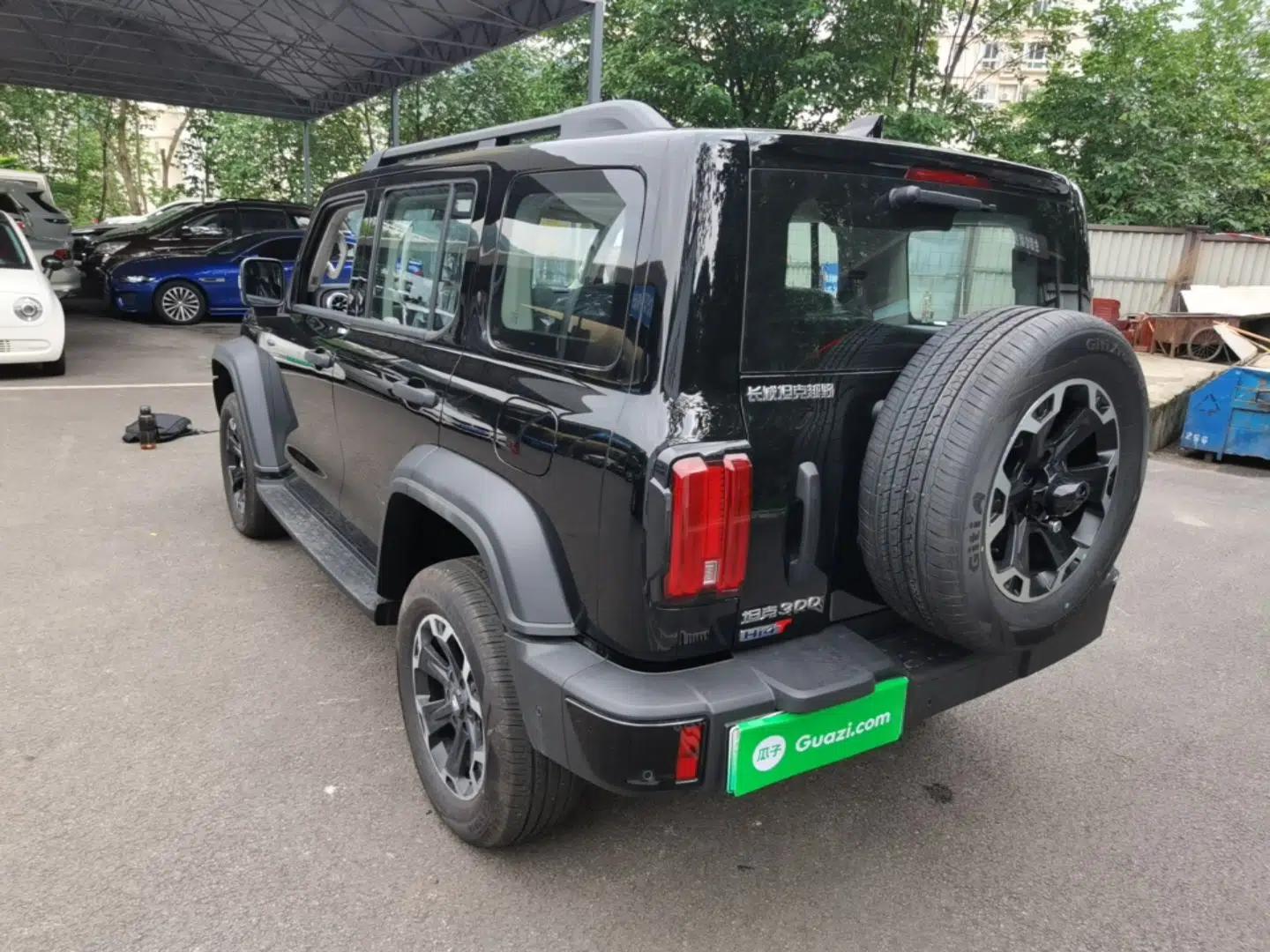 Used Tank 300 New Energy 2025 Model, Hi4-T 36.7kWh — миниатюра 4