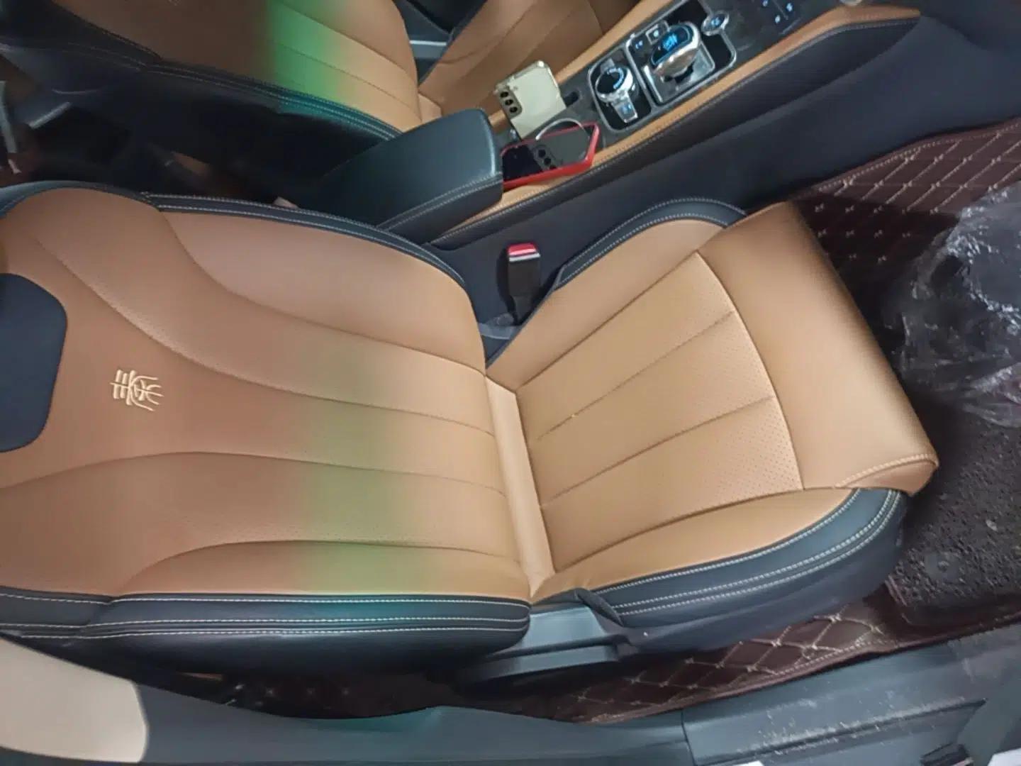Used BYD Qin New Energy 2018 1.5T Smart Connect Premium Model — миниатюра 19