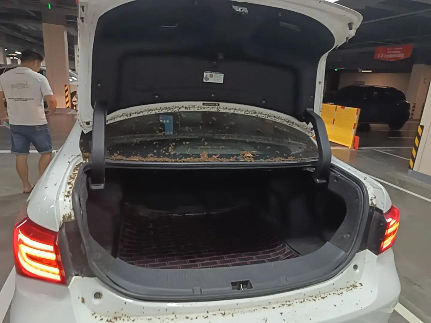 Used BYD Qin New Energy 2018 1.5T Smart Connect Premium Model — миниатюра 22