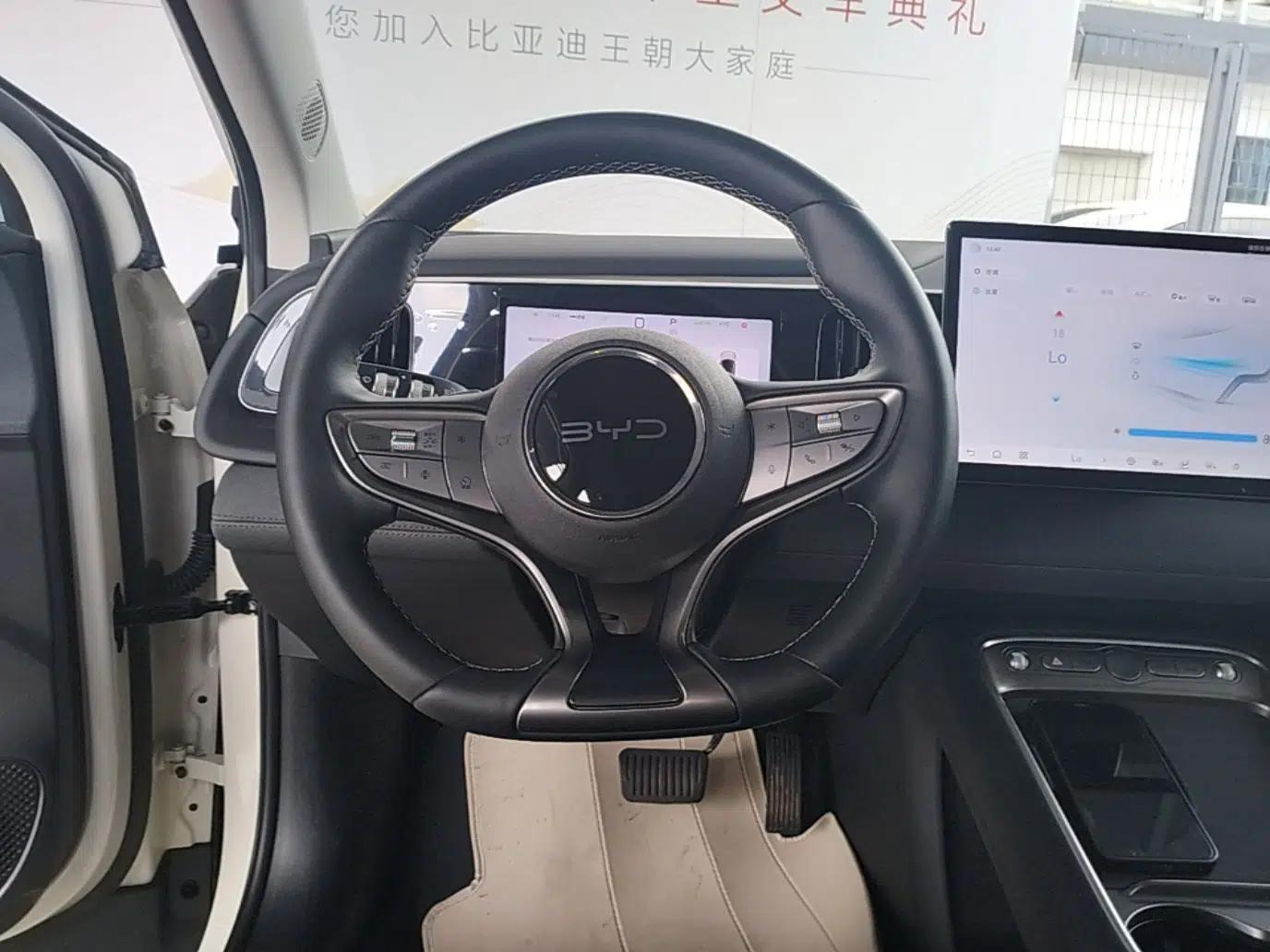 Used BYD Sealion 05 EV 2025 520 km Smart Cruise Version — миниатюра 18