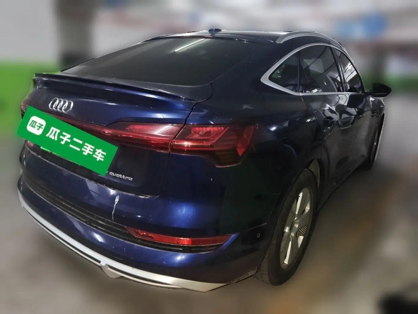 Audi e-tron 2021 Sportback 55 quattro Luxury Edition — миниатюра 6
