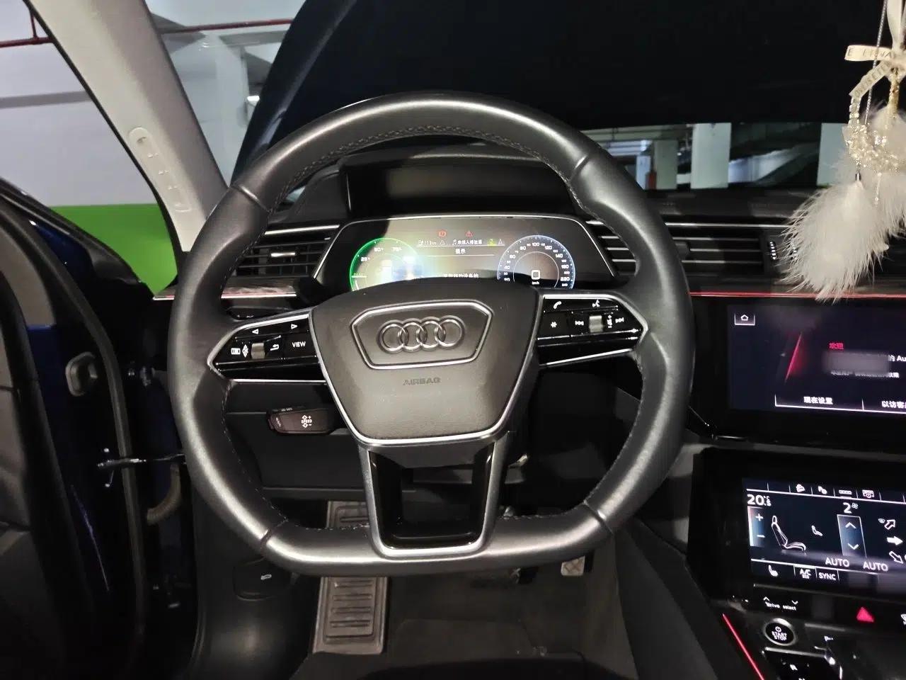 Audi e-tron 2021 Sportback 55 quattro Luxury Edition — миниатюра 9