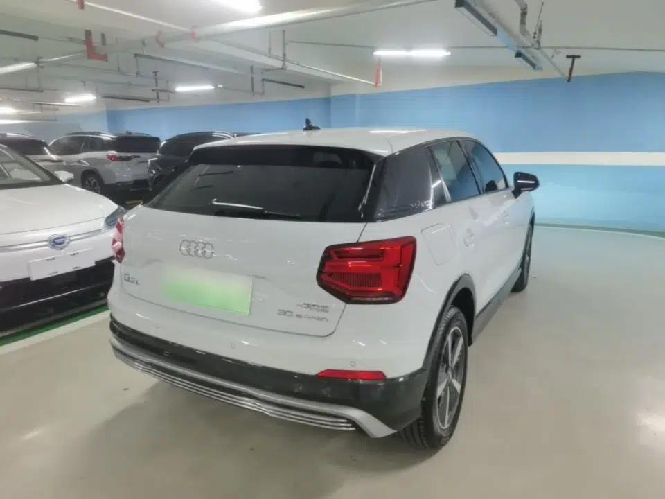 Audi Q2L e-tron 2019 Q2L e-tron Pure Electric Smart Style — миниатюра 6