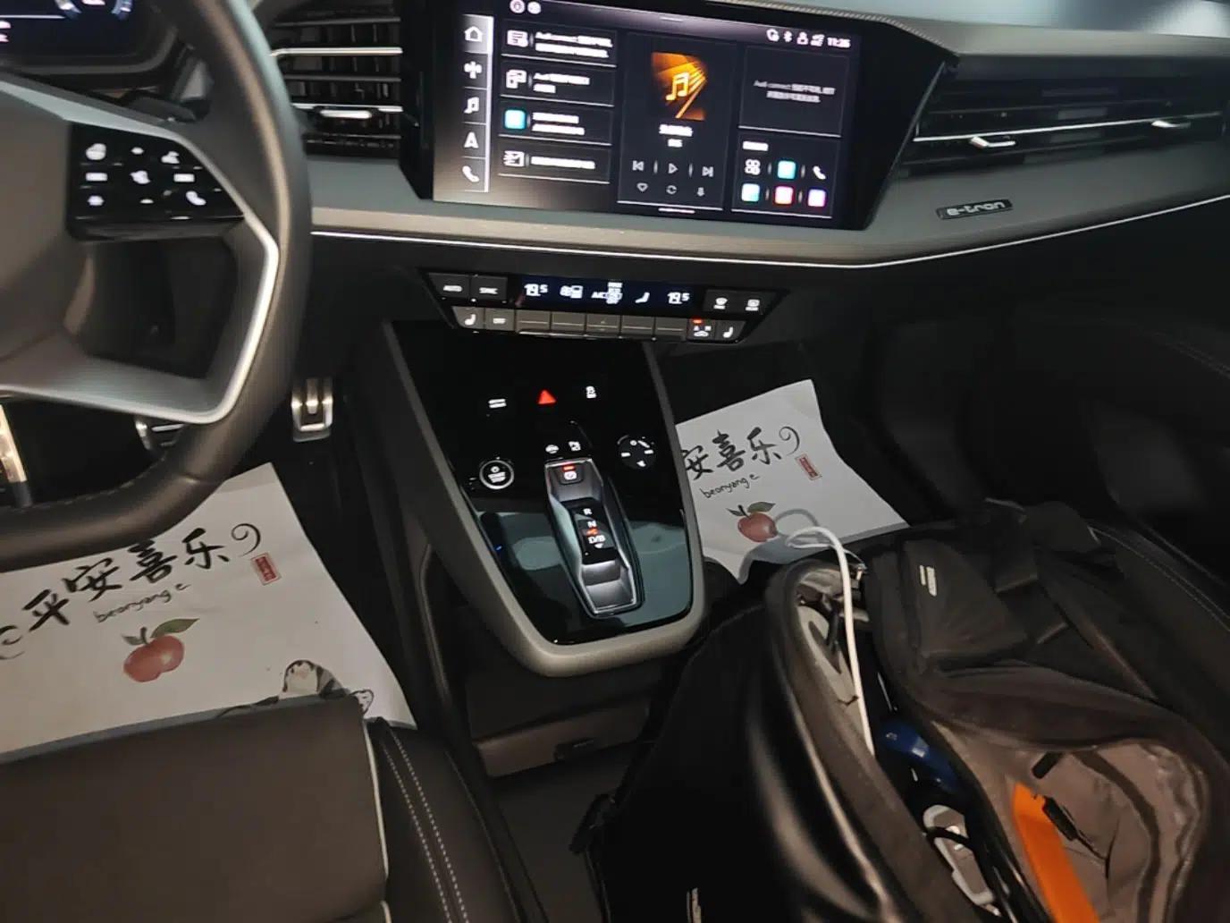 Audi Q5 e-tron 2022 40 e-tron Starry Edition Luxury Package — миниатюра 16