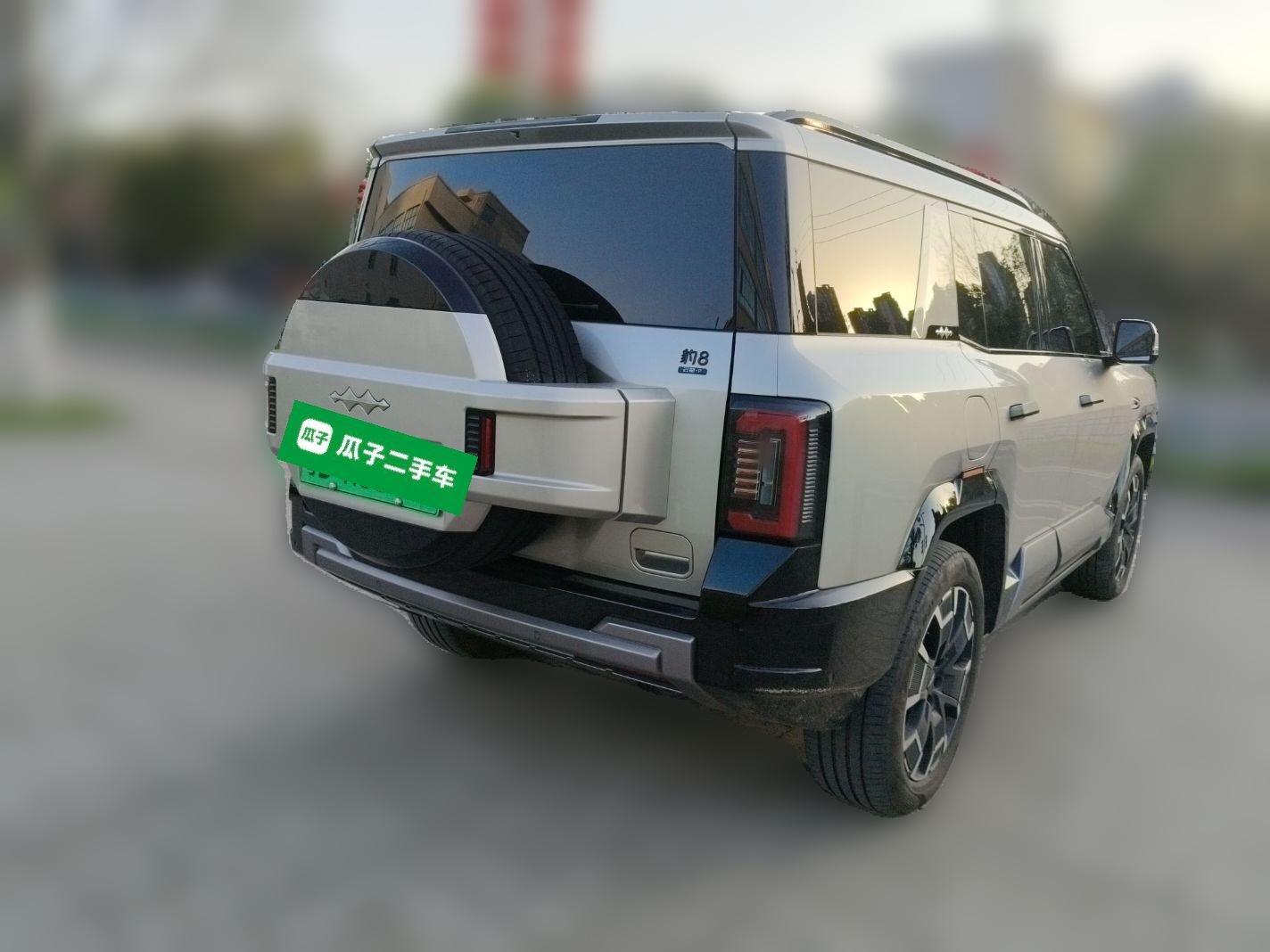 Formula Leopard 8 2025 Smart & Brave Flagship Edition 7 Seats — миниатюра 6