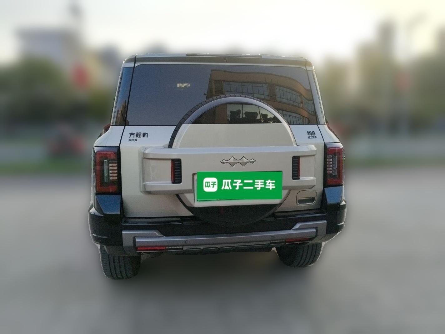 Formula Leopard 8 2025 Smart & Brave Flagship Edition 7 Seats — миниатюра 5
