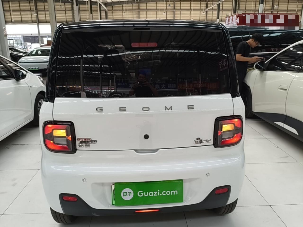 Geely Galaxy Panda 2024 Panda Mini 200km Endurance Bear — миниатюра 5